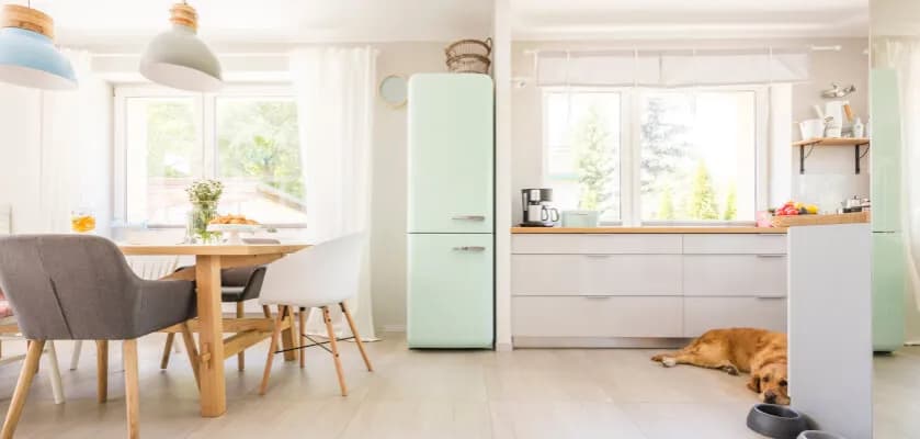Jaki kolor lodówki do białych mebli? Poznaj najlepsze opcje dla twojej kuchni