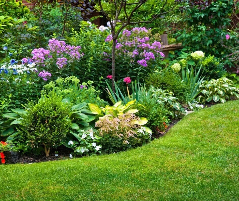 Co warto mieć w ogrodzie? Niezbędne rośliny i akcesoria, które zachwycą