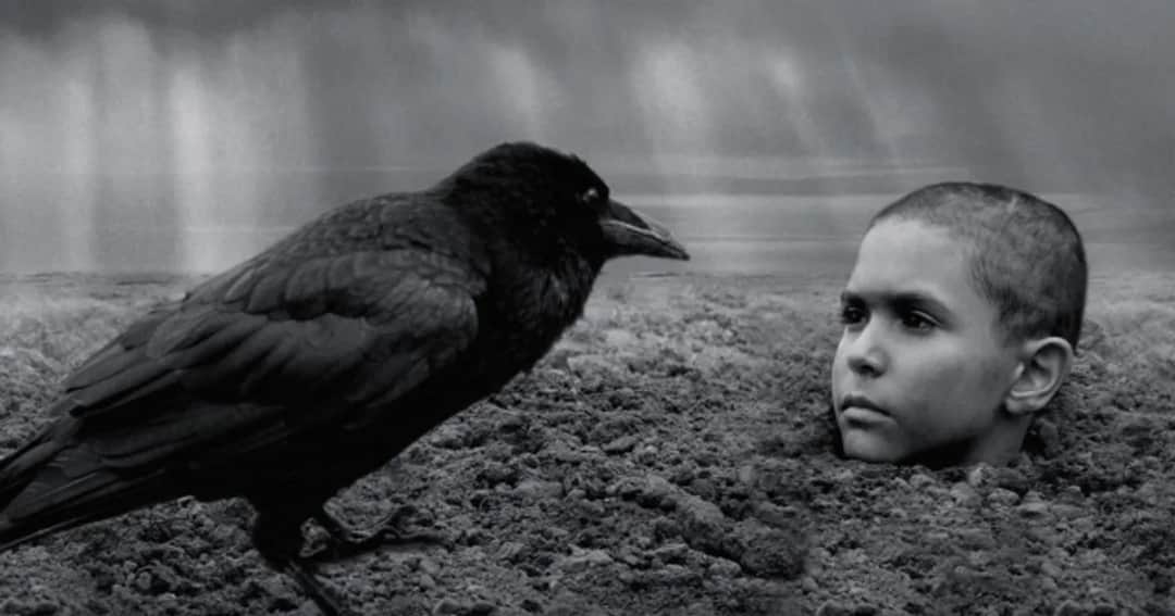 Gdzie obejrzeć film Malowany ptak online? Odkryj najlepsze platformy