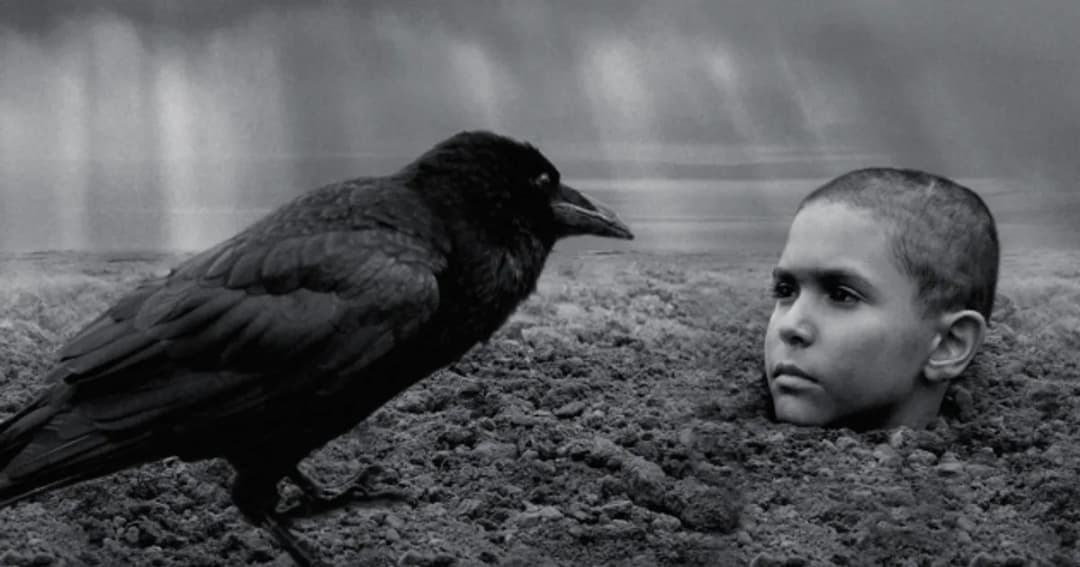 Gdzie obejrzeć film Malowany ptak online? Odkryj najlepsze platformy