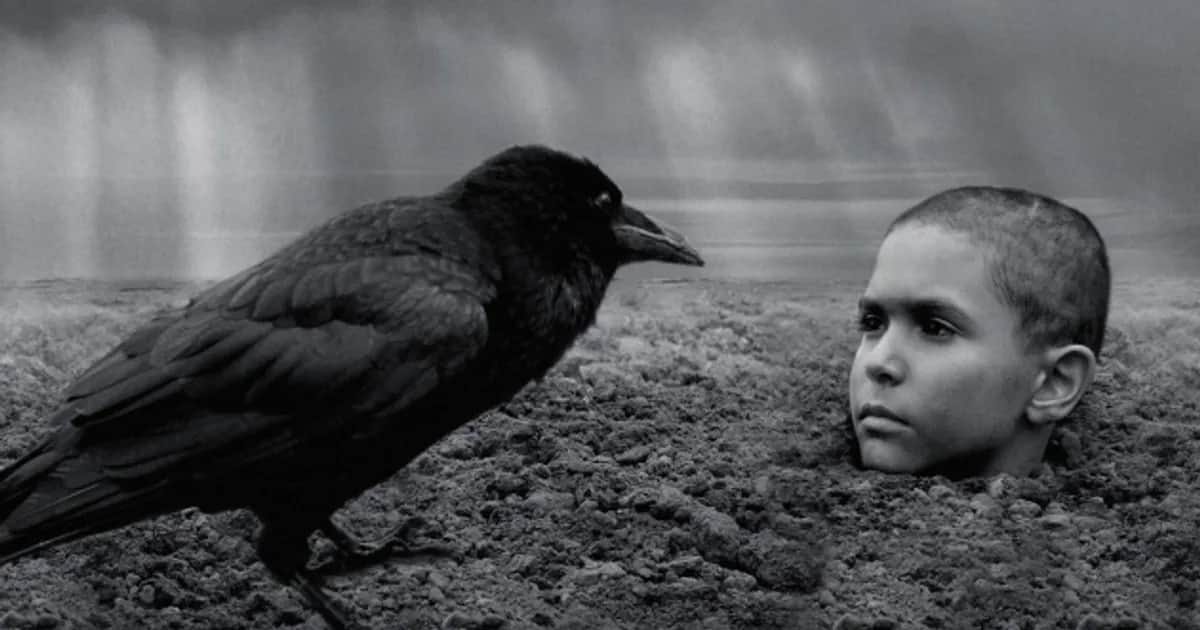 Gdzie obejrzeć film Malowany ptak online? Odkryj najlepsze platformy