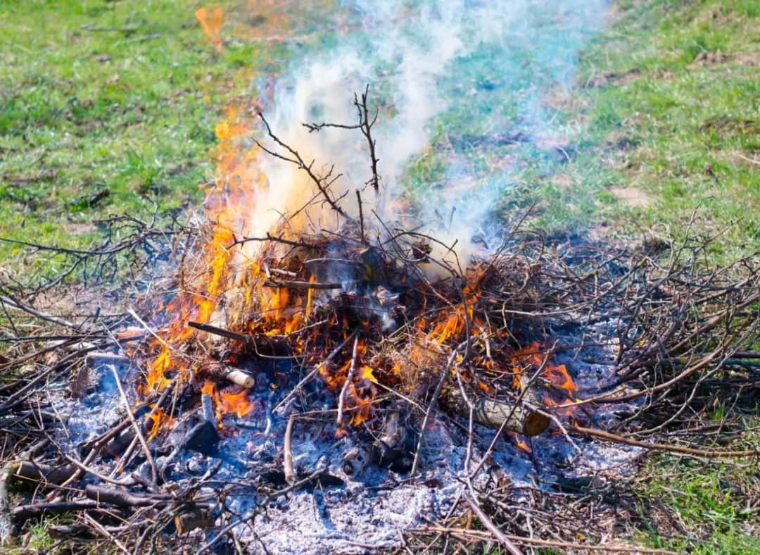 Czy można palić ognisko w ogrodzie? Przepisy, bezpieczeństwo i zasady.