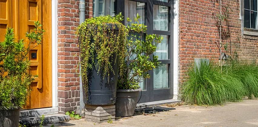 Skuteczne sposoby na ukrycie kompostownika w ogrodzie dla estetyki