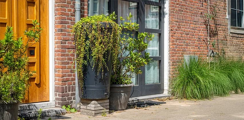 Skuteczne sposoby na ukrycie kompostownika w ogrodzie dla estetyki