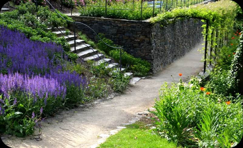 Co na skarpy w ogrodzie? Najlepsze rośliny i techniki umocnienia